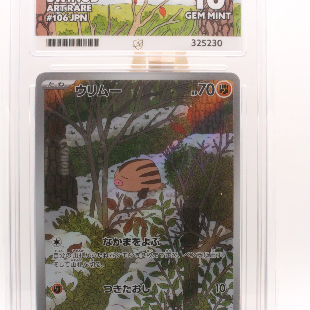 Swinub 106/100 Art Rare - Battle Partners Ace 10 Gem Mint